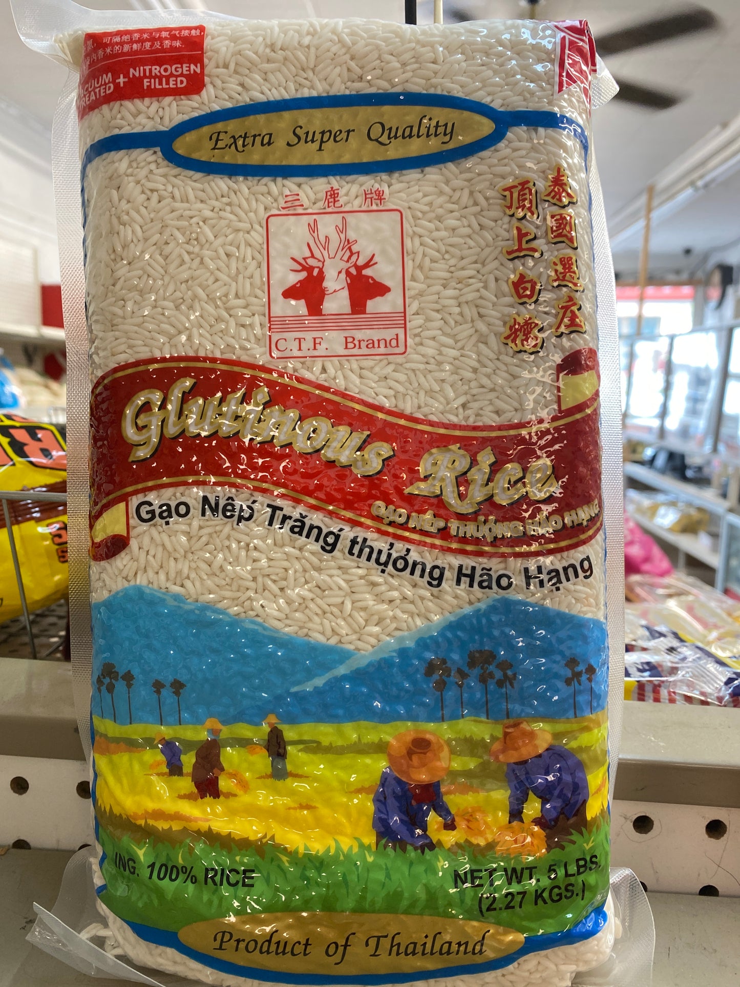 CTF Brand Glutinous Rice -5lbs